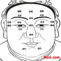 面相十二宫