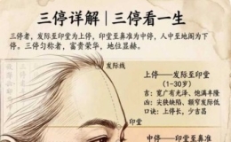 看懂三停五官，读懂面相智慧