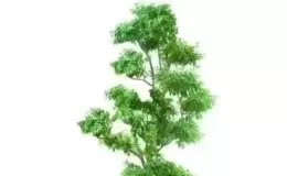识人之手相-指纹