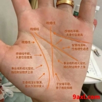 掌纹简单小知识