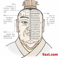 面相学基础知识