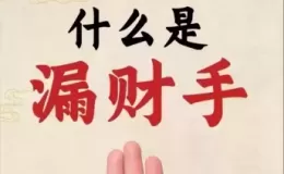 掌纹基础知识