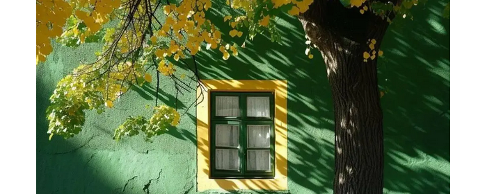 026年2月上海中学生优秀作文：春秋树