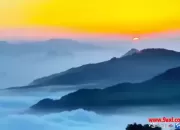 家长如何引导孩子由厌学变为乐学：中小学学生心理问题识别与应对方法