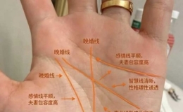 掌纹简单小知识
