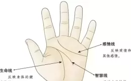 男生左手手相详细图