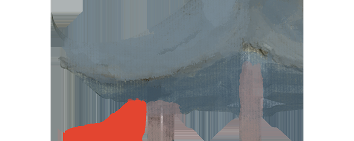 学写作｜写出人物特点