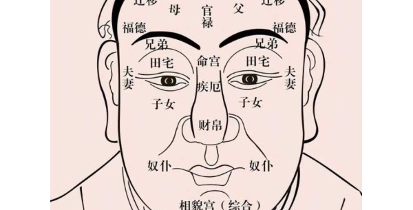 面相识人之额头剖析