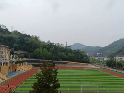 青少年自杀的成因与预防