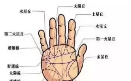 断掌意味着什么