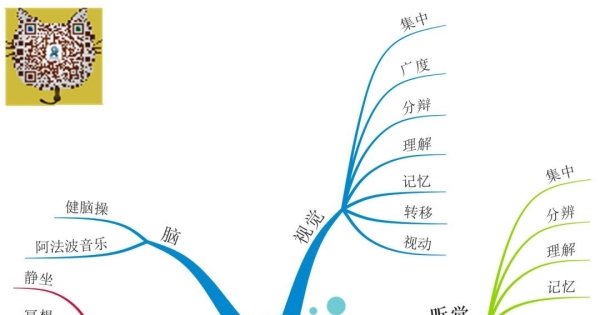 注意力训练提升系统