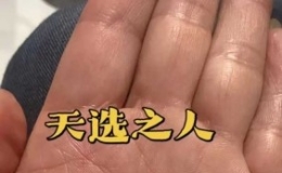 这种手纹怎么样？
