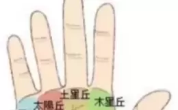 识人之手相学——手相图解大全