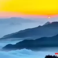 家长如何引导孩子由厌学变为乐学：中小学学生心理问题识别与应对方法