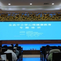 徐州市丰县中小学心理健康教育专题培训成功举办