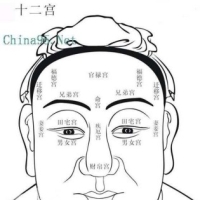 面相十二宫