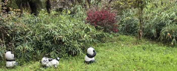 提升孩子自信心的20个方法