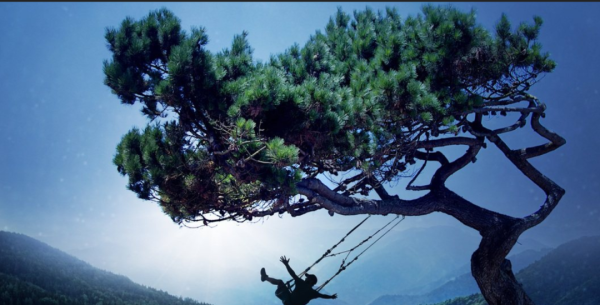 梦的解析：20种梦境的心理学解释