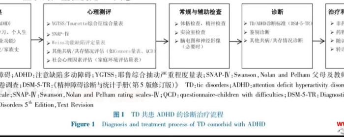 儿童抽动障碍共患注意缺陷多动障碍诊断与治疗专家共识(2025)核心总结
