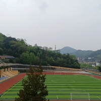 青少年自杀的成因与预防