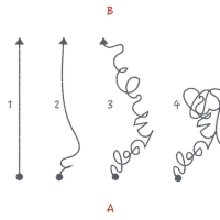 每天坚持英语学习为什么还是学不好？