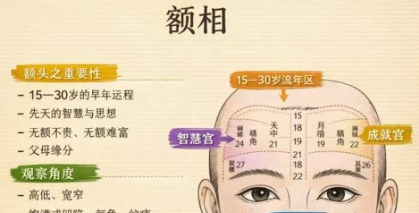 额头是非常重要的一部分，能反映一个人的早年运势、智慧和家庭背景