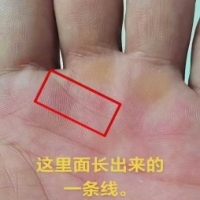 这个手掌纹，你有吗？
