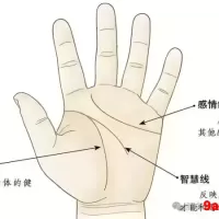 男生左手手相详细图