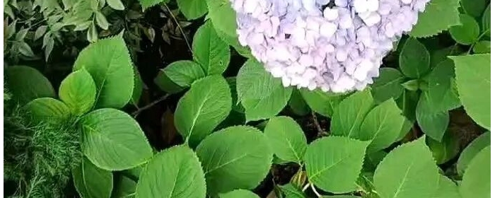 缓解高考前焦虑小技巧