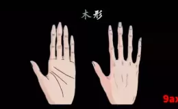 手相学之手形、指形