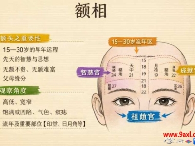 额头是非常重要的一部分，能反映一个人的早年运势、智慧和家庭背景