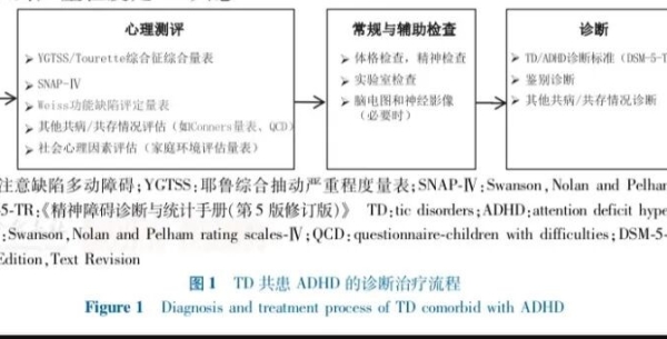 儿童抽动障碍共患注意缺陷多动障碍诊断与治疗专家共识(2025)核心总结