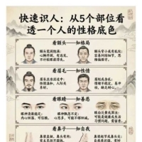 面相识人简单点