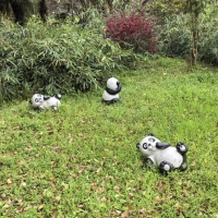 提升孩子自信心的20个方法