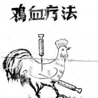 每天坚持英语学习为什么还是学不好？