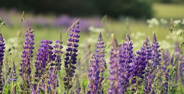 服用抗焦虑和抑郁的药物-为自己选择负责