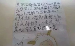 网上流传的小学生情书