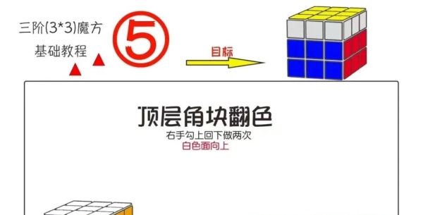 三阶魔方基础教程（三）