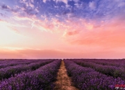 自杀危机干预6字要诀：1问2应3转介的技巧（转载）