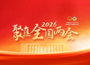 2026两会心理健康提案全汇总