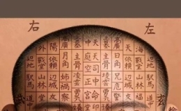面相全景图