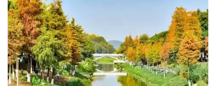 中学生厌学的主要表现有哪些，原因