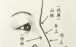 如何看鼻部