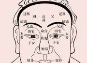 面相识人之额头剖析