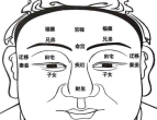 面相十二宫