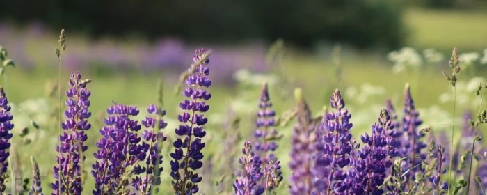 服用抗焦虑和抑郁的药物-为自己选择负责