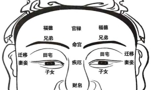 面相十二宫