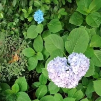 缓解高考前焦虑小技巧