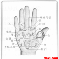 伸手知健康：手掌对应脏腑区域及常见病理纹符号