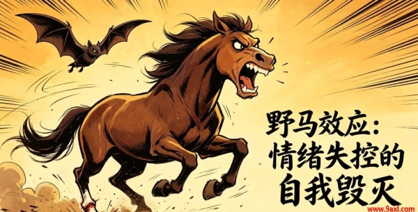 四大心理学效应小结